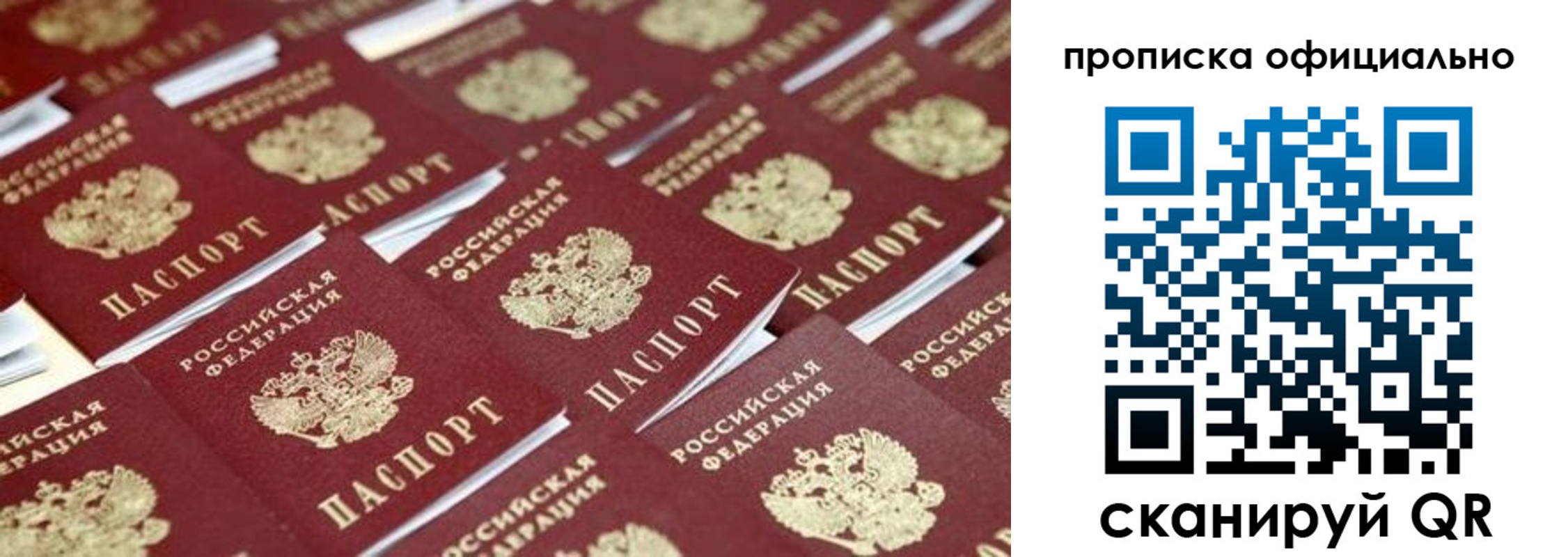 прописка гарантия в Корсакове